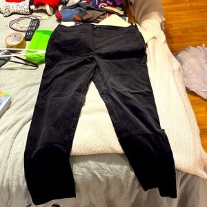 Black Velvet Talbot Pants